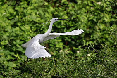 BUITEN BEELD Foto: 450249