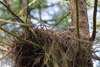 BUITEN BEELD Foto: 450258