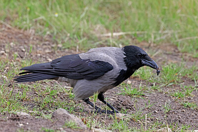 BUITEN BEELD Foto: 450300