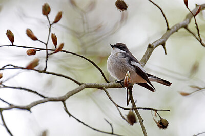 BUITEN BEELD Foto: 450302