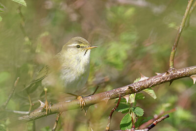 BUITEN BEELD Foto: 450309