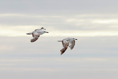 BUITEN BEELD Foto: 450312