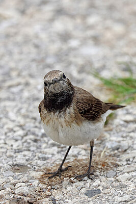 BUITEN BEELD Foto: 450379