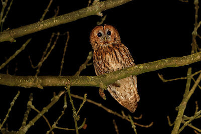 BUITEN BEELD Foto: 450381