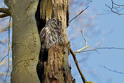 BUITEN BEELD Foto: 450382