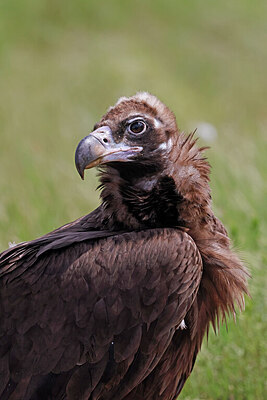 BUITEN BEELD Foto: 450402