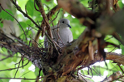BUITEN BEELD Foto: 450413