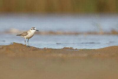 BUITEN BEELD Foto: 450414