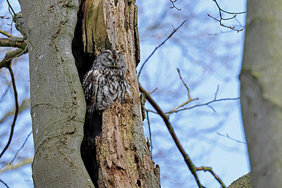 BUITEN BEELD Foto: 450431