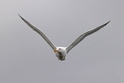 BUITEN BEELD Foto: 450439