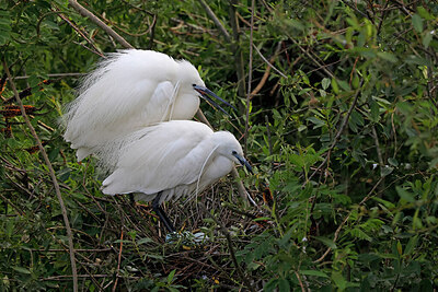 BUITEN BEELD Foto: 450446