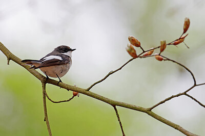 BUITEN BEELD Foto: 450469