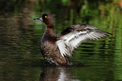 BUITEN BEELD Foto: 450496
