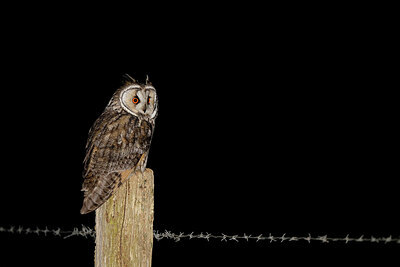 BUITEN BEELD Foto: 450502