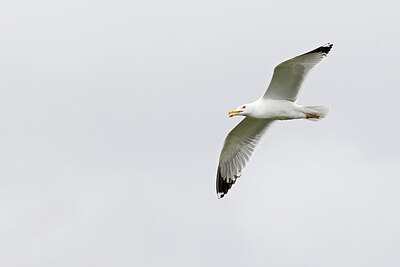 BUITEN BEELD Foto: 450521