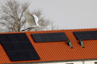 BUITEN BEELD Foto: 450543