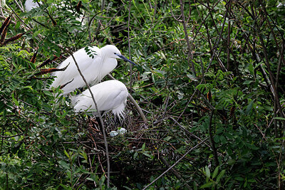 BUITEN BEELD Foto: 450572
