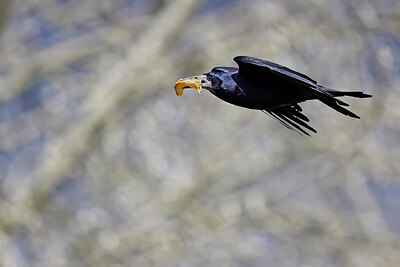 BUITEN BEELD Foto: 450593
