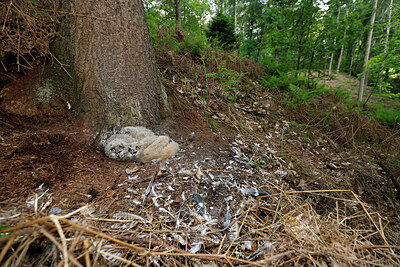 BUITEN BEELD Foto: 450609