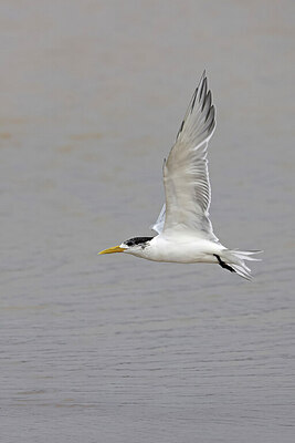 BUITEN BEELD Foto: 450628