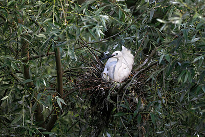 BUITEN BEELD Foto: 450665