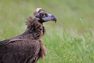 BUITEN BEELD Foto: 450669
