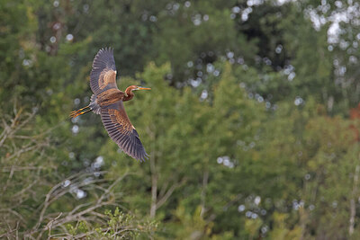 BUITEN BEELD Foto: 450673