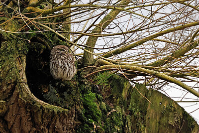 BUITEN BEELD Foto: 450695