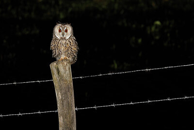 BUITEN BEELD Foto: 450728