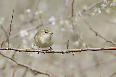 BUITEN BEELD Foto: 450744