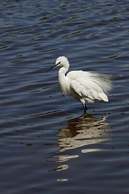 BUITEN BEELD Foto: 450749