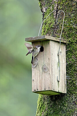 BUITEN BEELD Foto: 450762