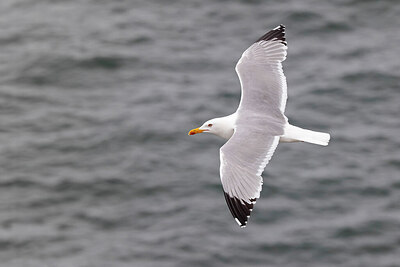 BUITEN BEELD Foto: 450769