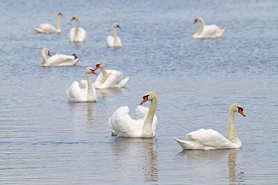 BUITEN BEELD Foto: 450785
