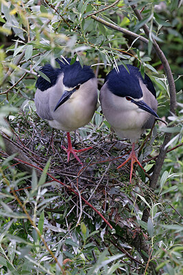 BUITEN BEELD Foto: 450787