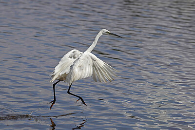 BUITEN BEELD Foto: 450802