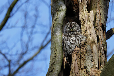 BUITEN BEELD Foto: 450816