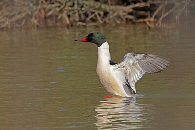 BUITEN BEELD Foto: 450851