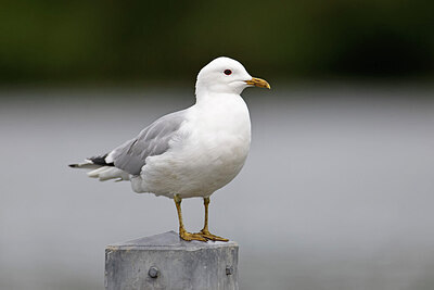 BUITEN BEELD Foto: 450901