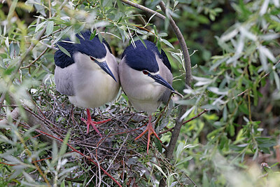BUITEN BEELD Foto: 450927