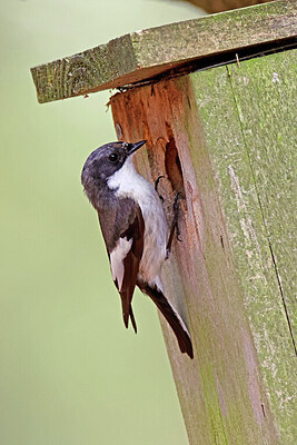 BUITEN BEELD Foto: 450936