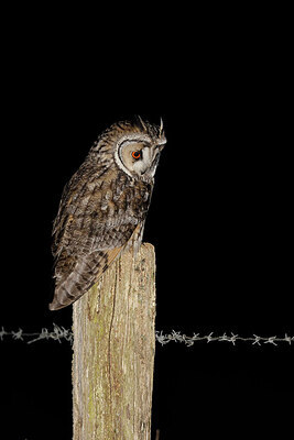 BUITEN BEELD Foto: 450954