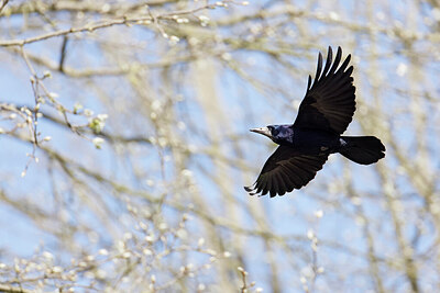 BUITEN BEELD Foto: 450955