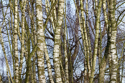 BUITEN BEELD Foto: 451128