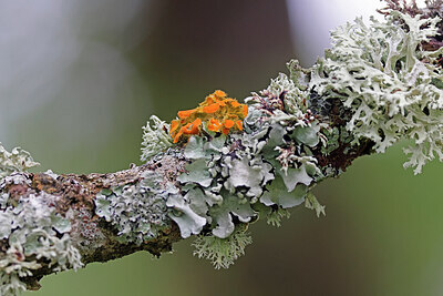 BUITEN BEELD Foto: 451143