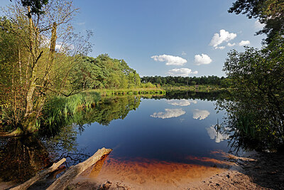 BUITEN BEELD Foto: 451192