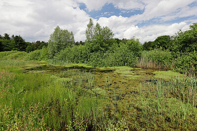 BUITEN BEELD Foto: 451193