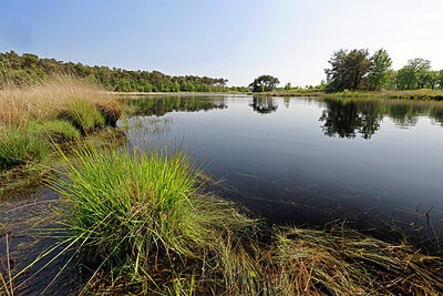 BUITEN BEELD Foto: 451194