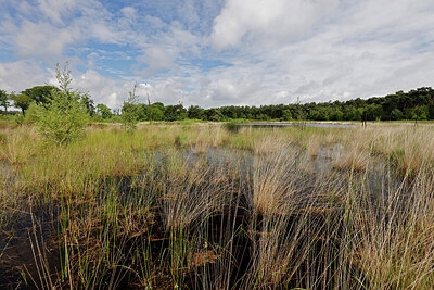 BUITEN BEELD Foto: 451195