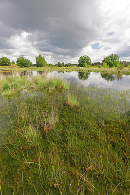 BUITEN BEELD Foto: 451197